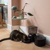 Pettadore - Nutri Lite - Voerautomaat kat - Zwart - Automatische voerbak kat