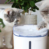 Pettadore Hydrate Compact drinkfontein katten honden app smart waterfontein, kattenfontein